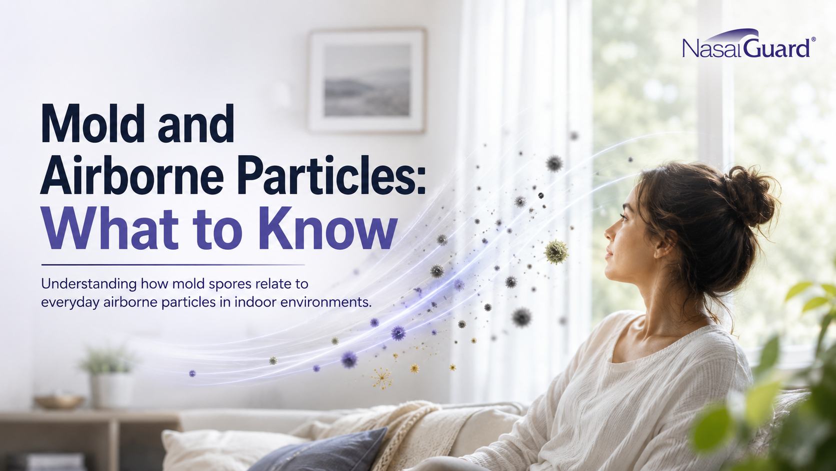 Mold and Airborne Particles: What to Know