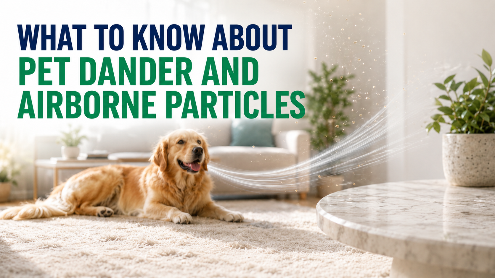 Pet Dander and Airborne Particles: What to Know