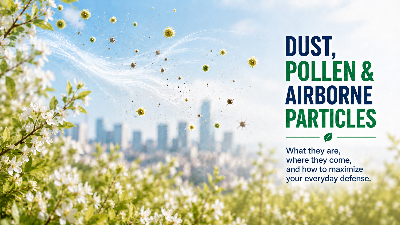 Pollen and Dust: What to Know About Airborne Particles