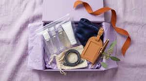 Gifts for Frequent Flyers: A Carry-On Kit That Fits 3-1-1