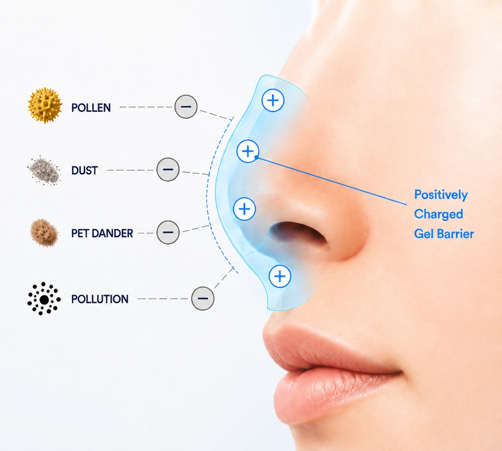 Diagram of positively charged NasalGuard gel around the nostrils attracting negatively charged pollen, dust, pet dander and pollution
